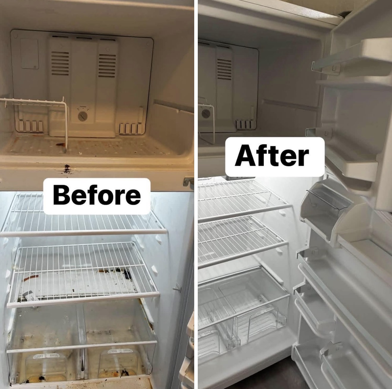 Refrigerator cleaning before and after