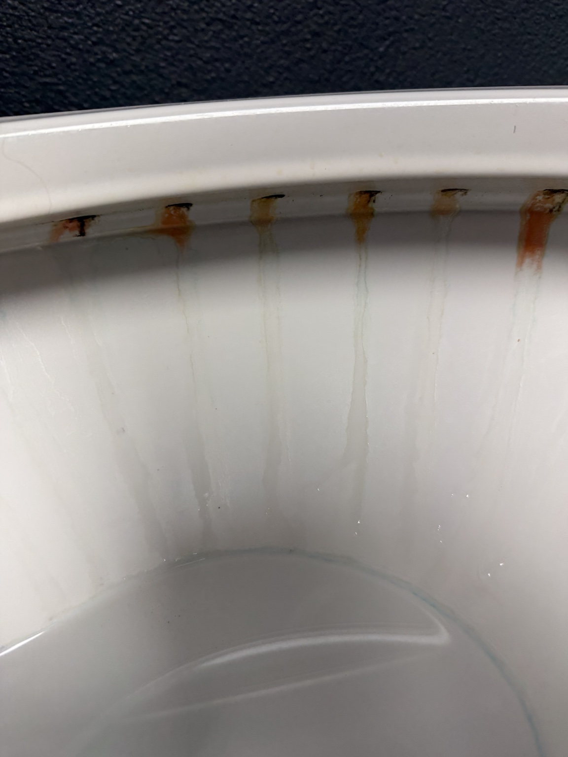 Toilet before detailed cleaning
